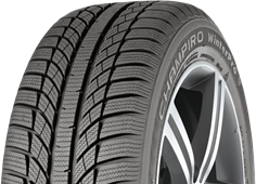 GT Radial Champiro WinterPro