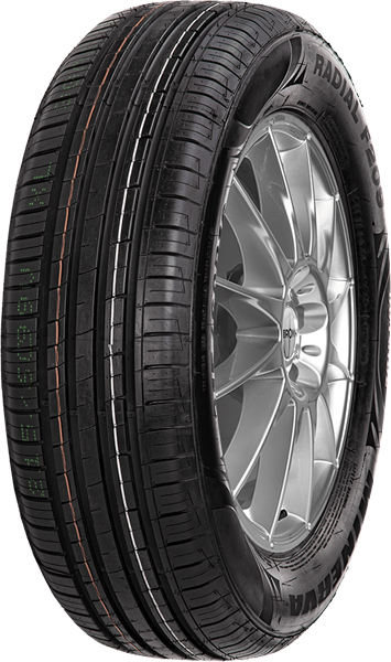 Minerva F209 225/55 R16 99 W XL