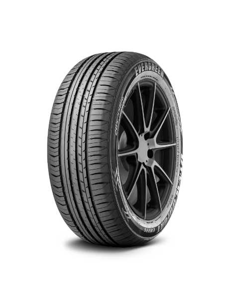 Evergreen DynaControl EH226 195/65 R15 91 H