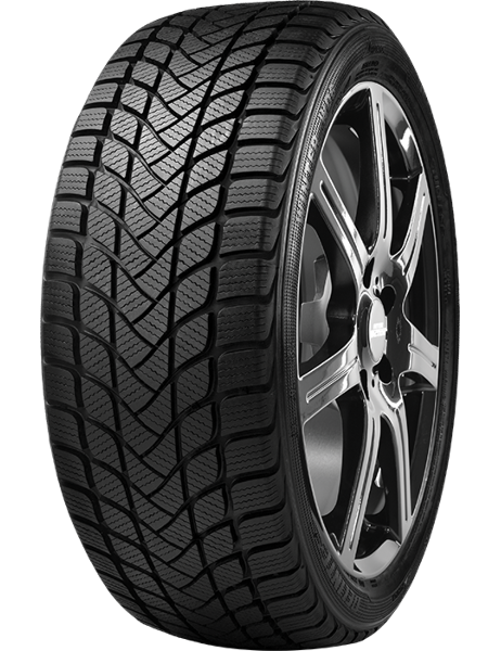 Delinte WD6 175/65 R15 84 T