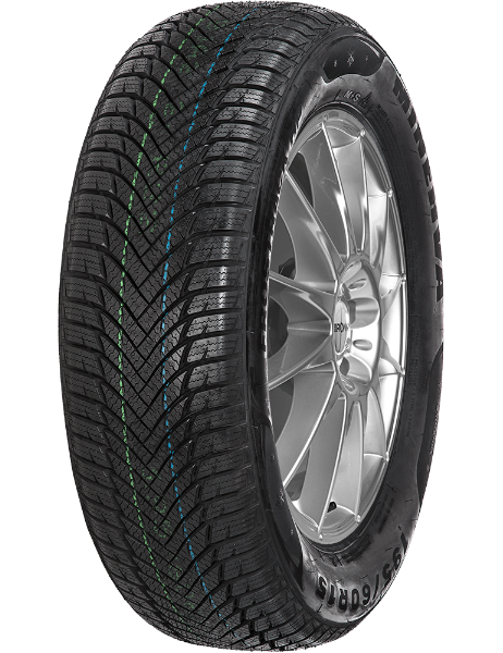 Minerva Frostrack HP 205/55 R16 91 H