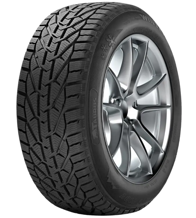 Taurus Winter 205/55 R16 91 T
