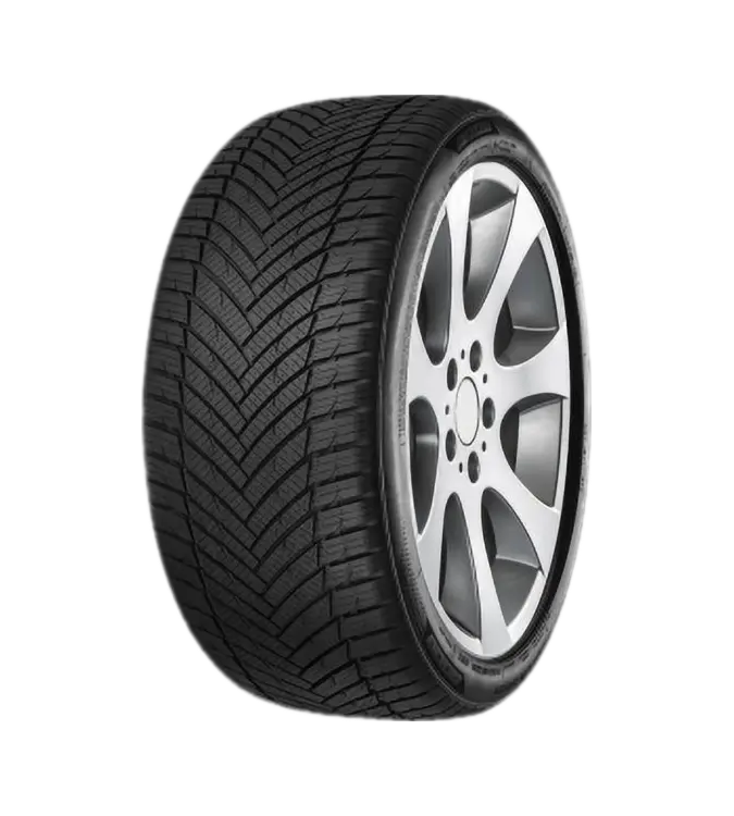 Minerva All Season Master 255/30 R19 91 Y XL