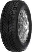 Primer plano de la banda de rodadura Mastersteel WINTER + 245/45 R18 100 H XL