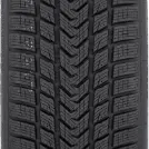 GRIPMAX SureGrip ProWinter 255/45 R19 104 V XL - Foto en miniatura 2