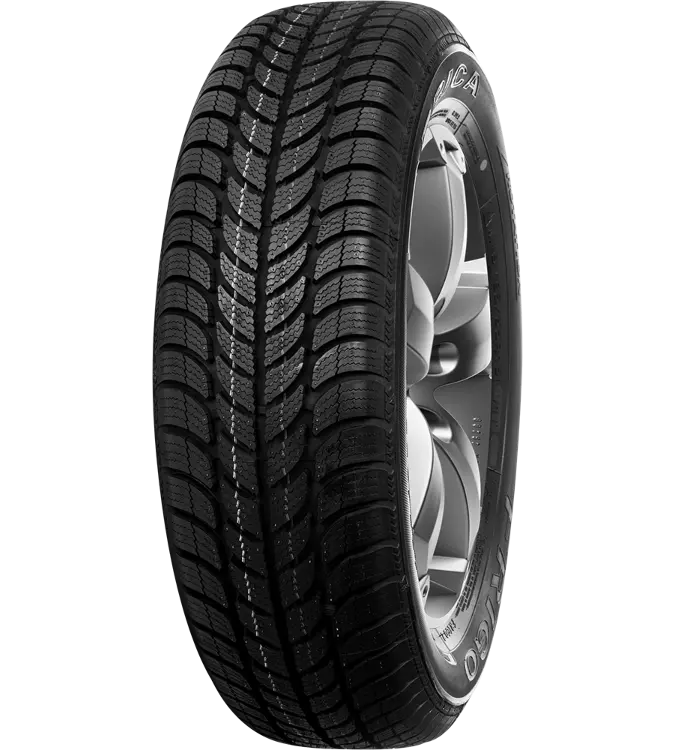 Dębica Frigo 2 205/55 R16 91 T