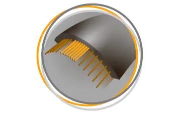 MultiZoneBelt